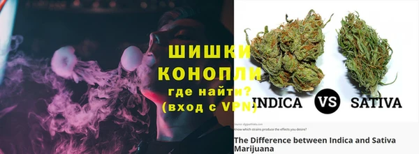 ПСИЛОЦИБИНОВЫЕ ГРИБЫ Абаза