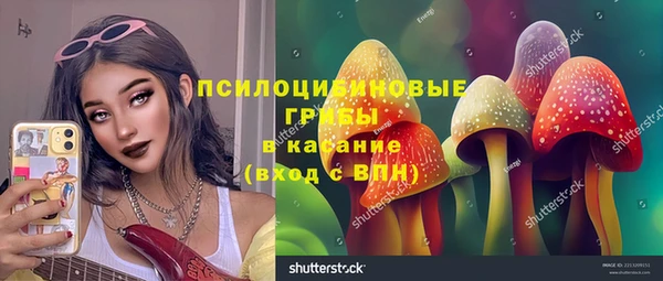 бутират Алексеевка