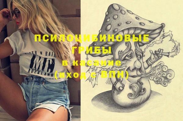 мяу мяу кристалл Алексин