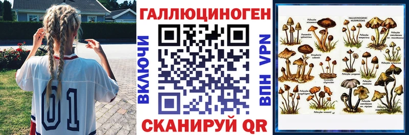 купить наркотики сайты  Мегион  Псилоцибиновые грибы прущие грибы 